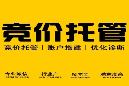 关键词竞价排名实战案例精选解析